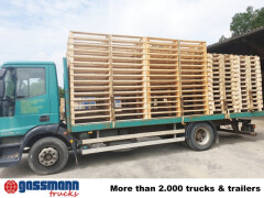 Iveco EuroCargo ML140E25/P 4x2, 6-Zylinder 